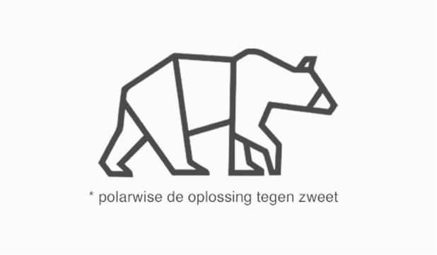 the polar company