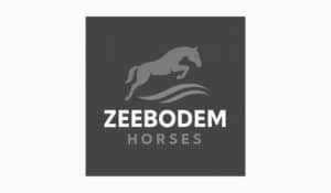 Zeebodem Horses